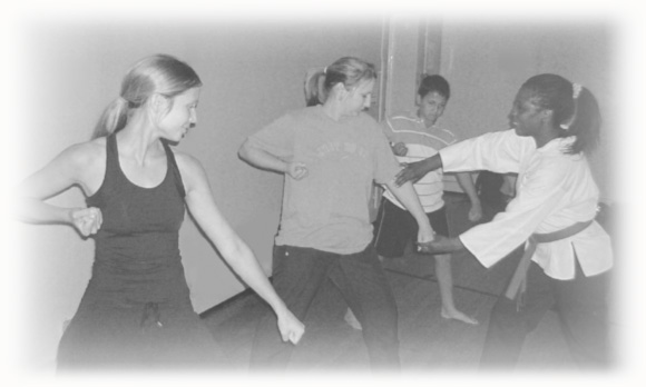 Main image of Goya-Ra-Ru Martial Arts (Birmingham - Moseley area)