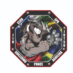 Main image of GPA jiujitsu chile