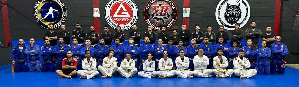 Main image of Gracie Barra - Alto Paraíso Aparecida de Goiânia
