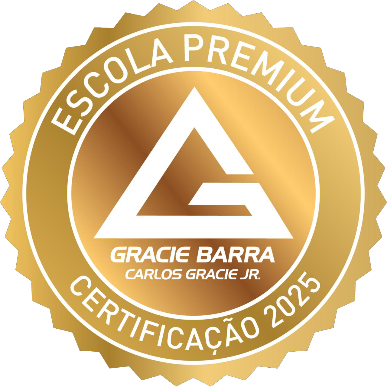 Main image of Gracie Barra Av. Manoel Ribas