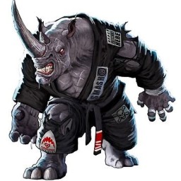 Main image of GRACIE BARRA HUNGARY