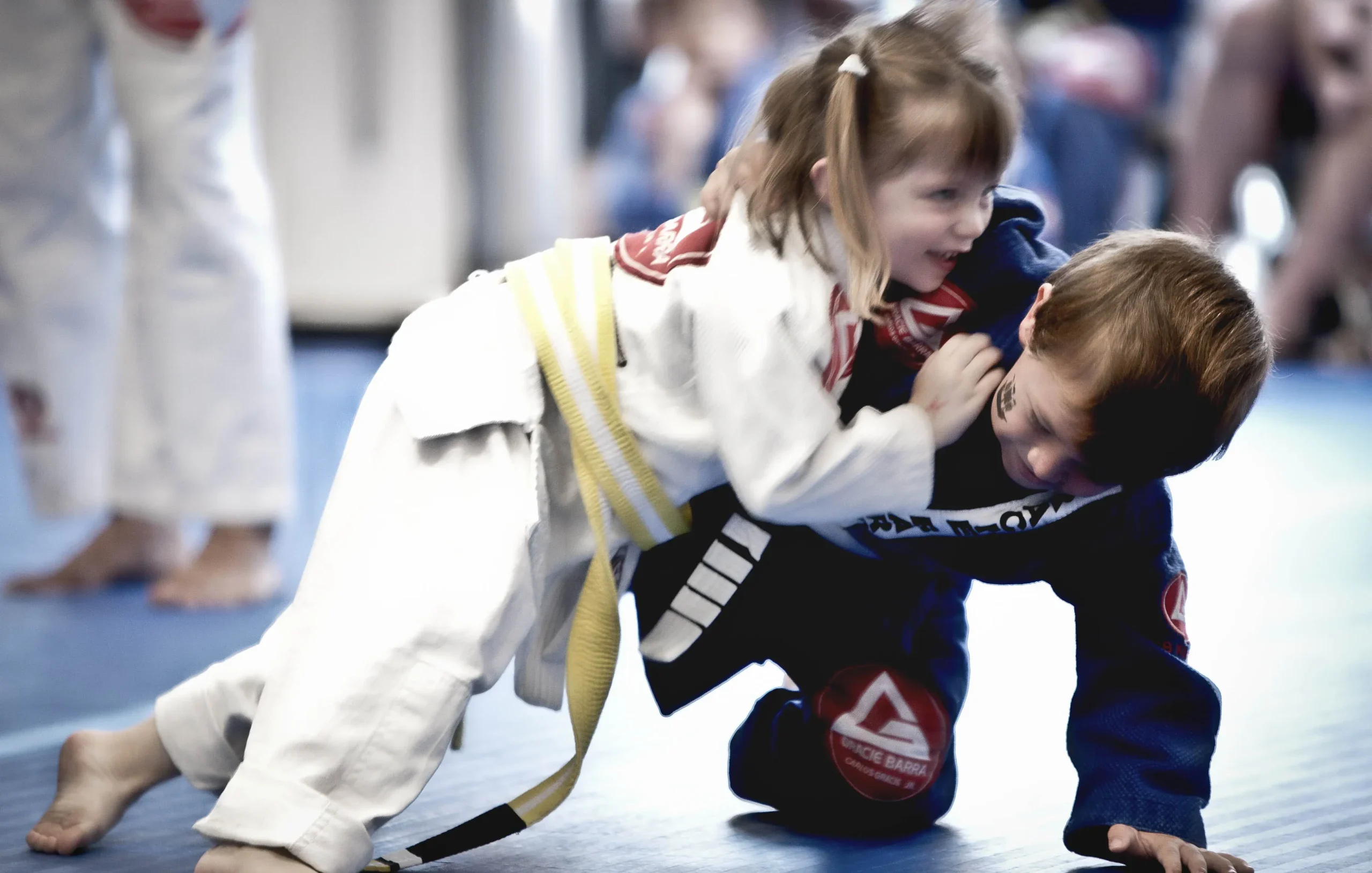 Main image of Gracie Barra Kerrisdale