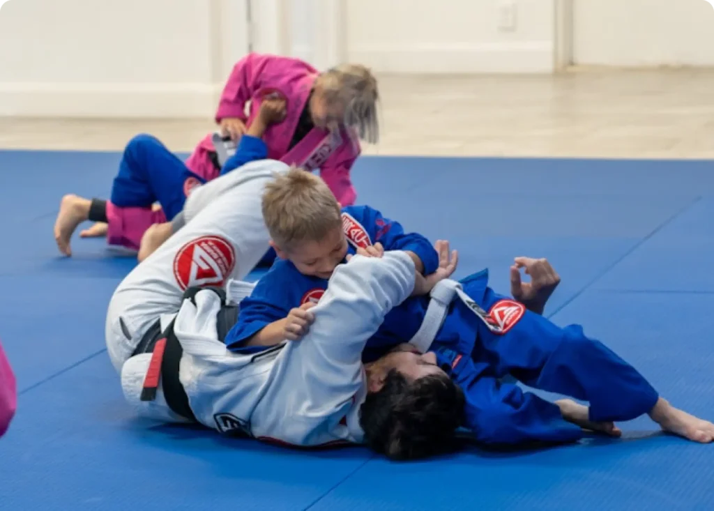 Main image of Gracie Barra Lake Park | Flórida