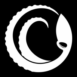 Main image of Gracie Barra/Octopus Zielona Góra