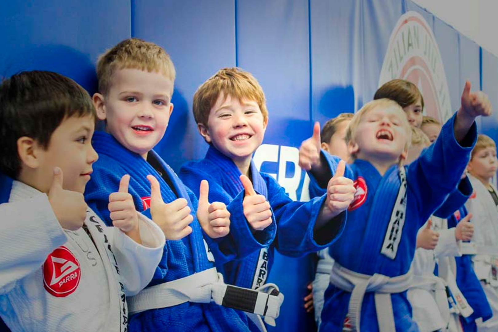 Main image of Gracie Barra Pedra Branca