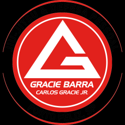 Main image of Gracie Barra Porto Feliz