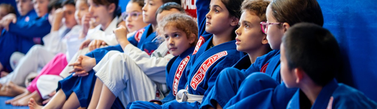 Main image of Gracie Barra West Kensington