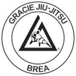 Main image of Gracie Jiu Jitsu Brea