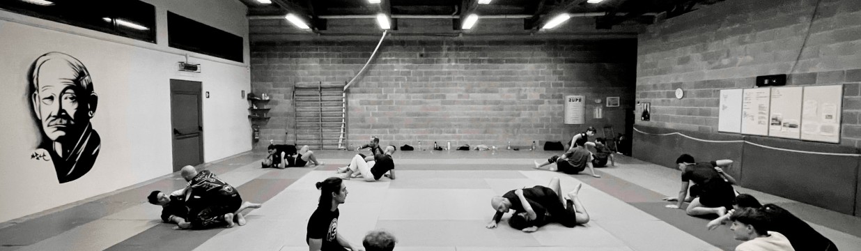 Main image of Grappling Besana