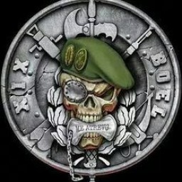 Main image of Grappling Vidin