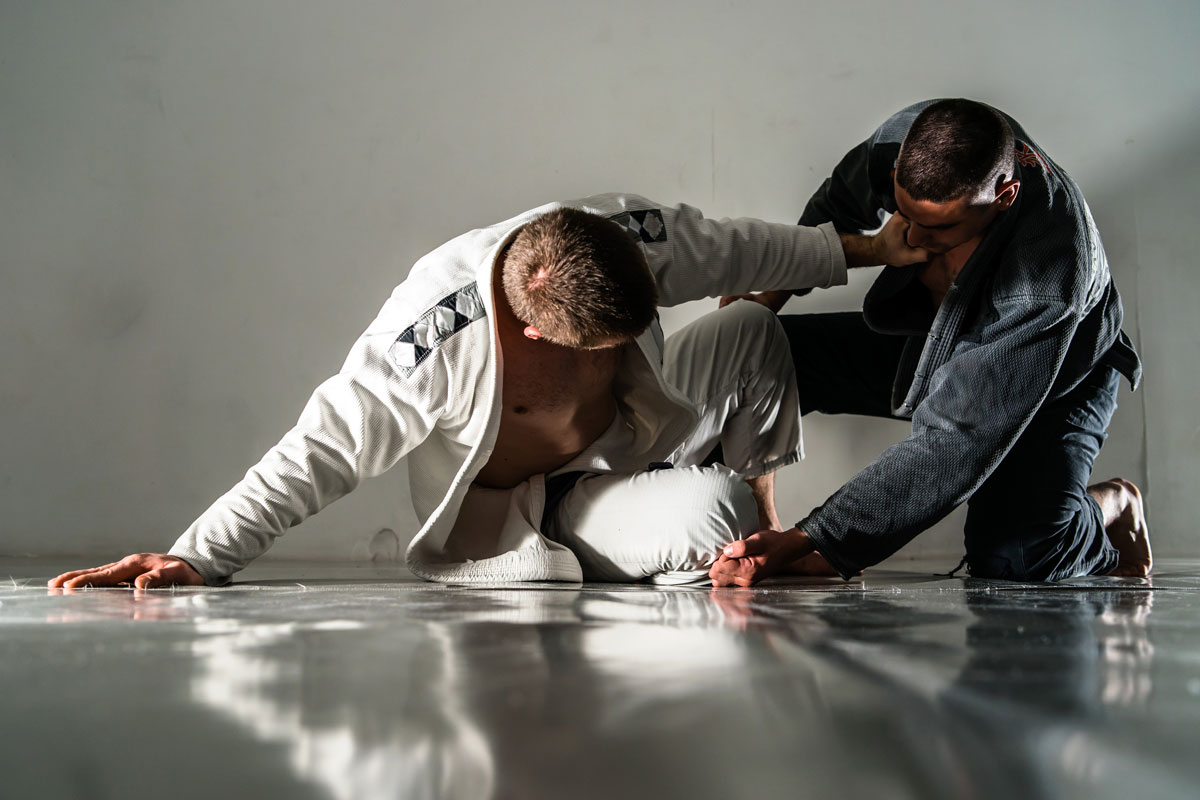 Main image of Grapplisses