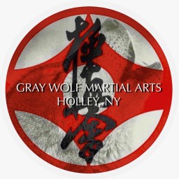 Main image of Gray Wolf Martial Arts - USA-IFK