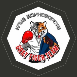 Main image of GrayTigerTeam