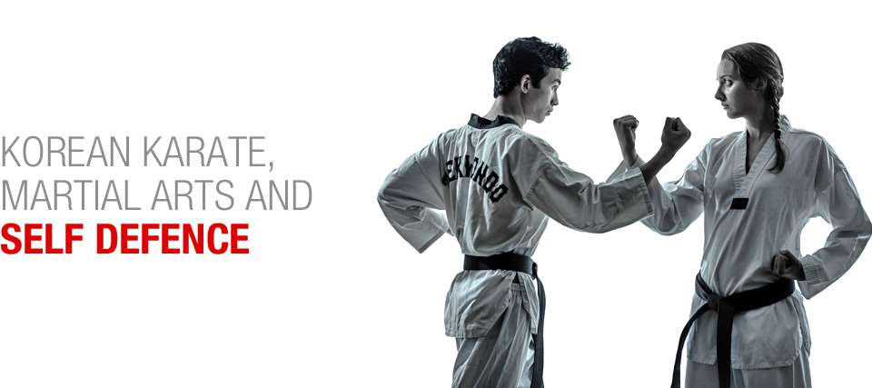 Main image of Great Barr Taekwondo School of Excellence