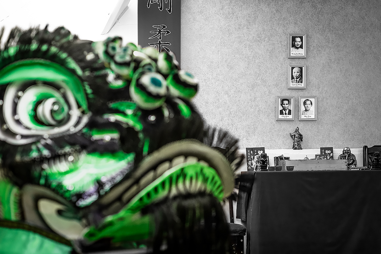 Main image of Green Lion Kung Fu