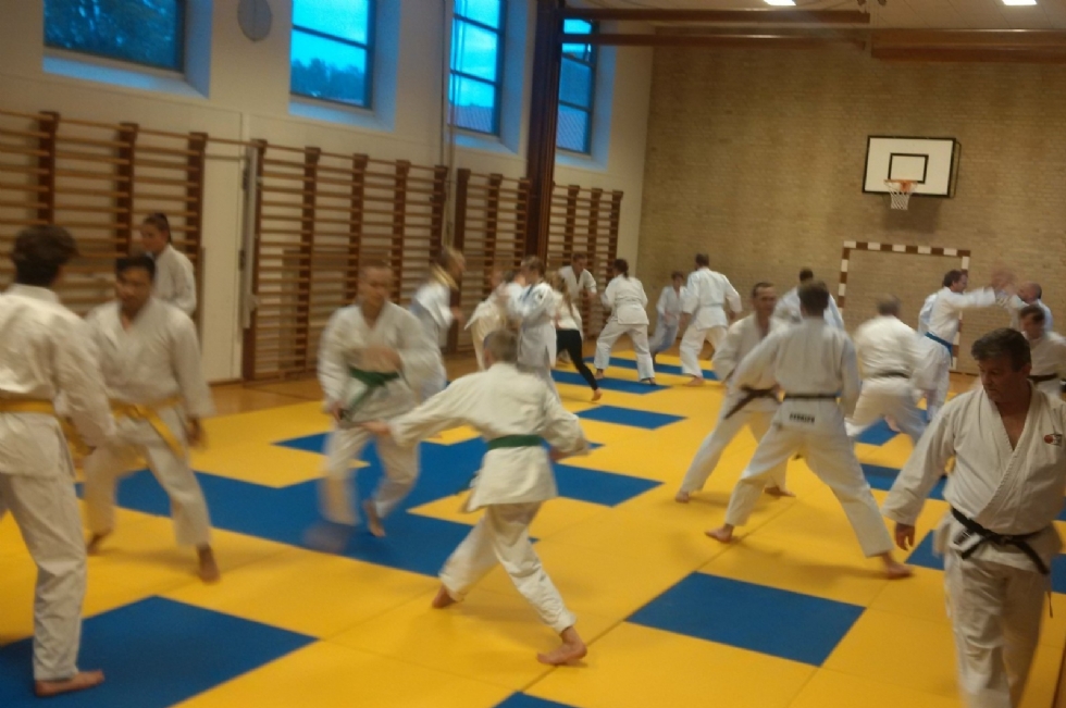 Main image of Greve Ju-Jutsu