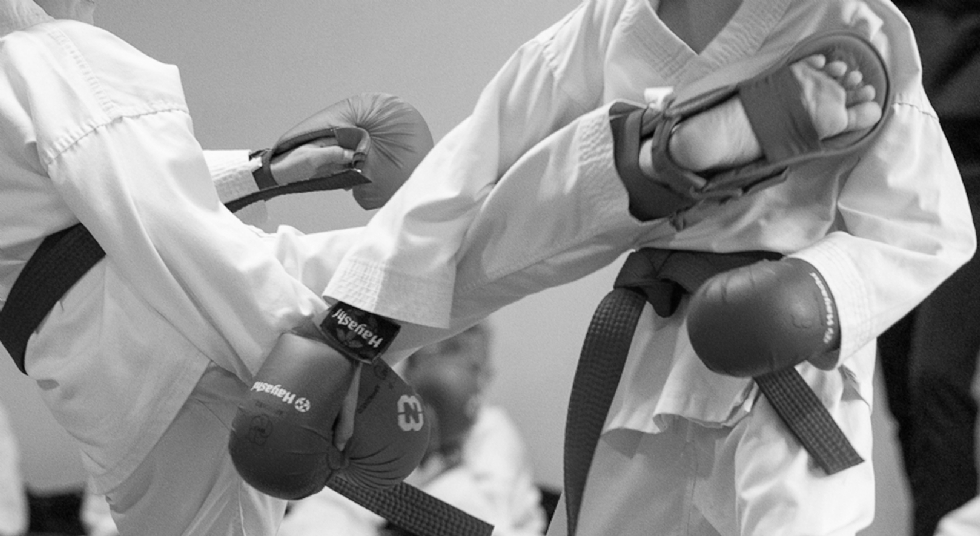 Main image of Greve Karate