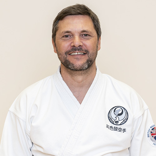 Main image of Grey Wolf Karate