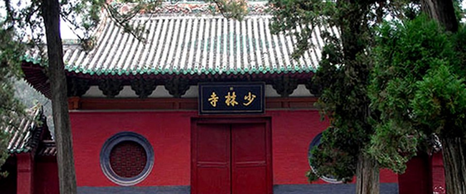 Main image of Grimaldi Wushu
