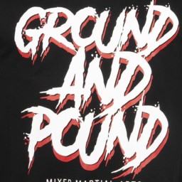 Main image of Ground and Pound Mixed Martial Arts
