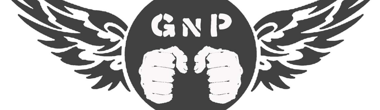 Main image of Ground and Pound MMA