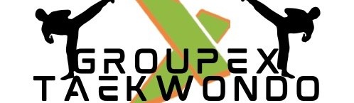 Main image of GroupEx Martial Arts Online