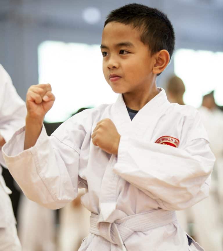 Main image of GSK Riverton Karate Club