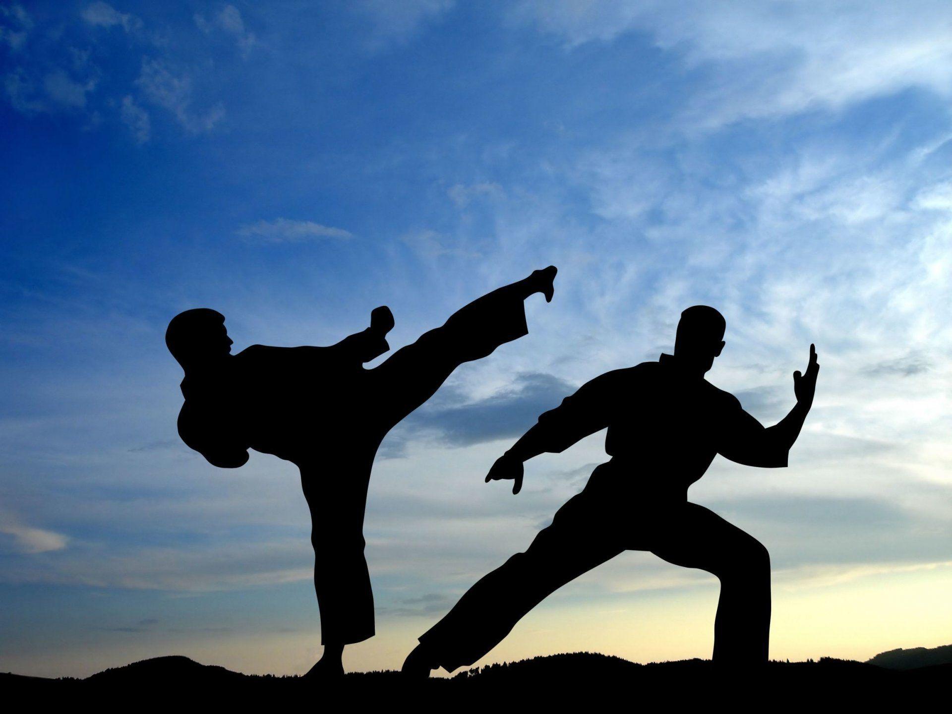 Main image of GTA Martial Arts North York