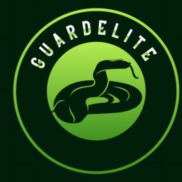 Main image of Guard elite