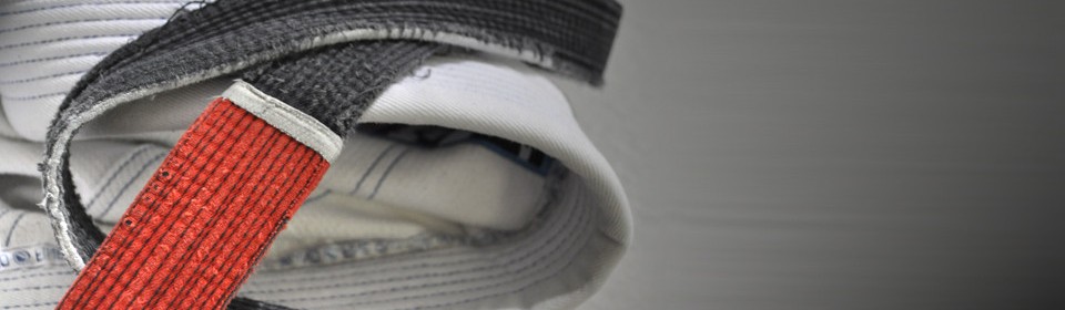 Main image of Guardian Jiujitsu and Judo