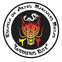 Main image of Guerreros Elite