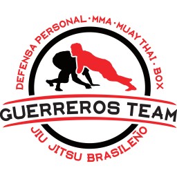 Main image of Guerreros Team