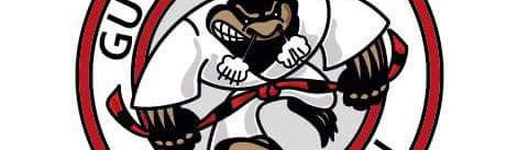 Main image of Guto Vicente Jiu-Jitsu Association Germany