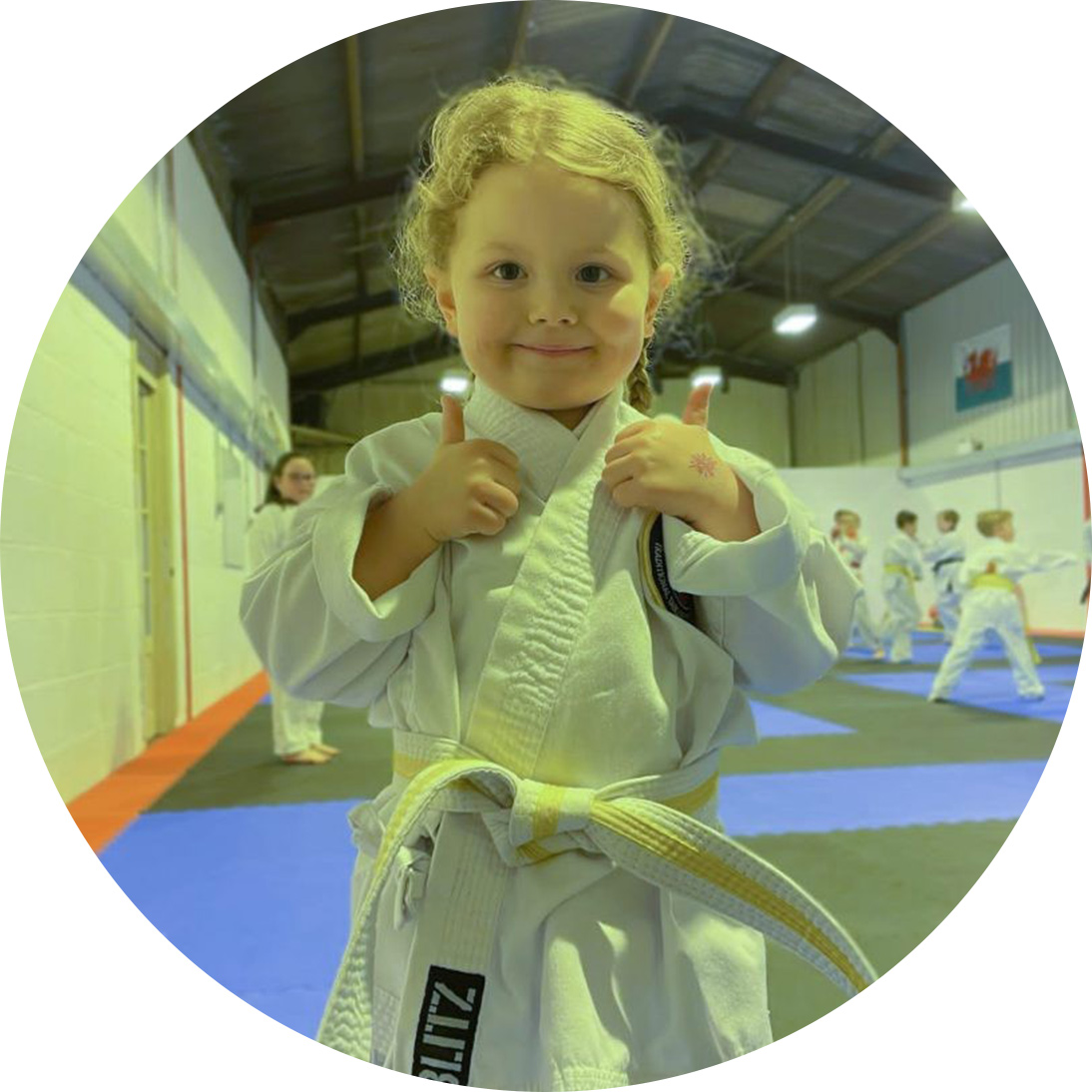 Main image of Gwent Tang Soo Do