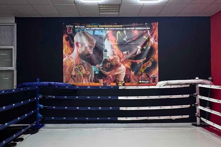 Gym Team Alves - Gimnasio boxeo bjj kickboxing taekwondo en Zaragoza academy image