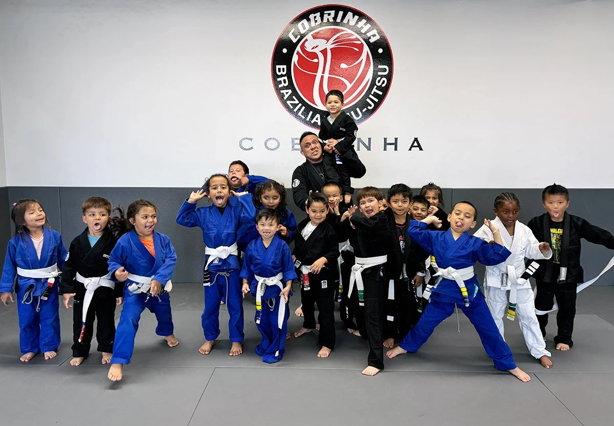 Alliance Jiu Jitsu South Bay