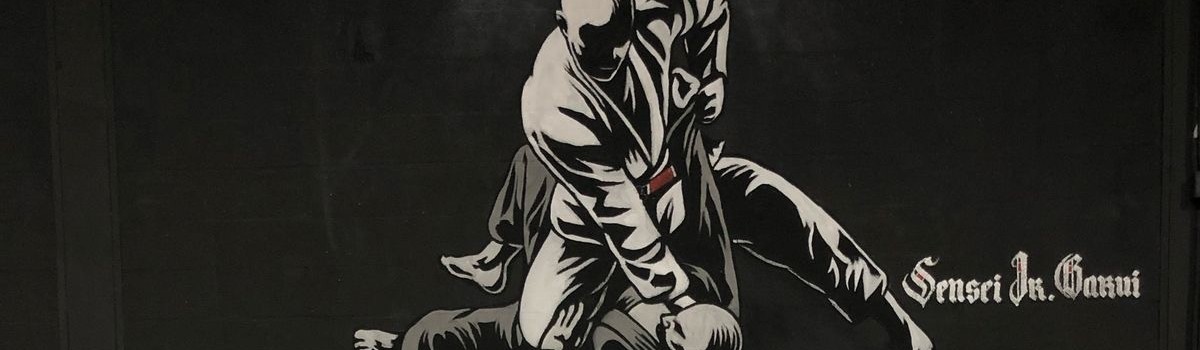 Main image of Gyn Noroeste Jiu-jitsu Oficial