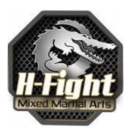 Main image of H-Fight Massy