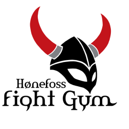 Main image of Hønefoss Fight Gym