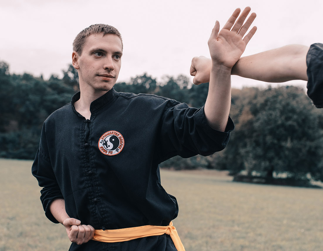 Main image of Hac Long Kung Fu