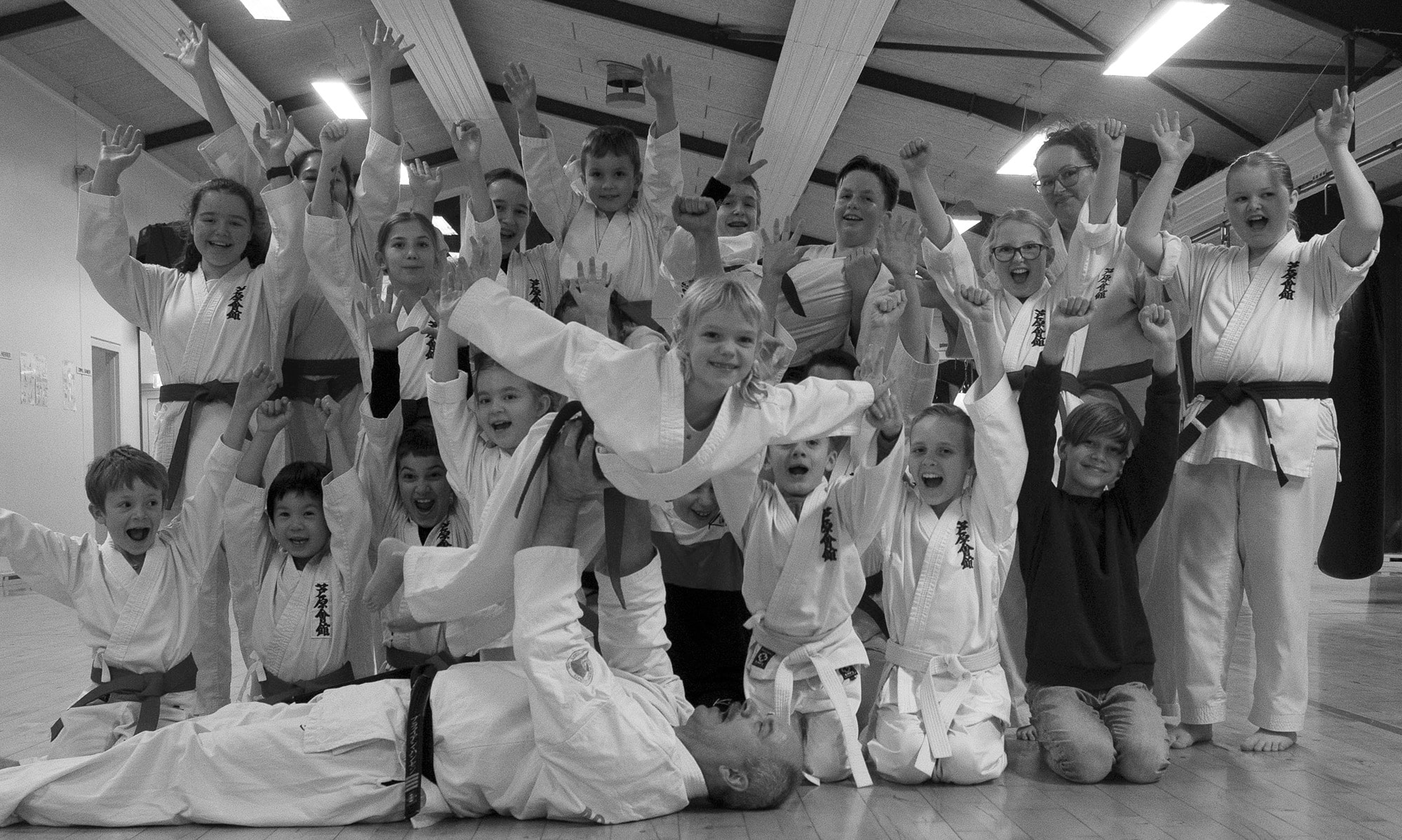 Main image of Hadsund Karate Skole