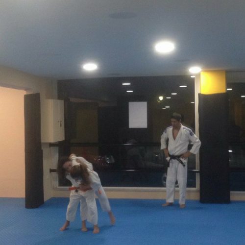 Main image of Haidari Judo Academy