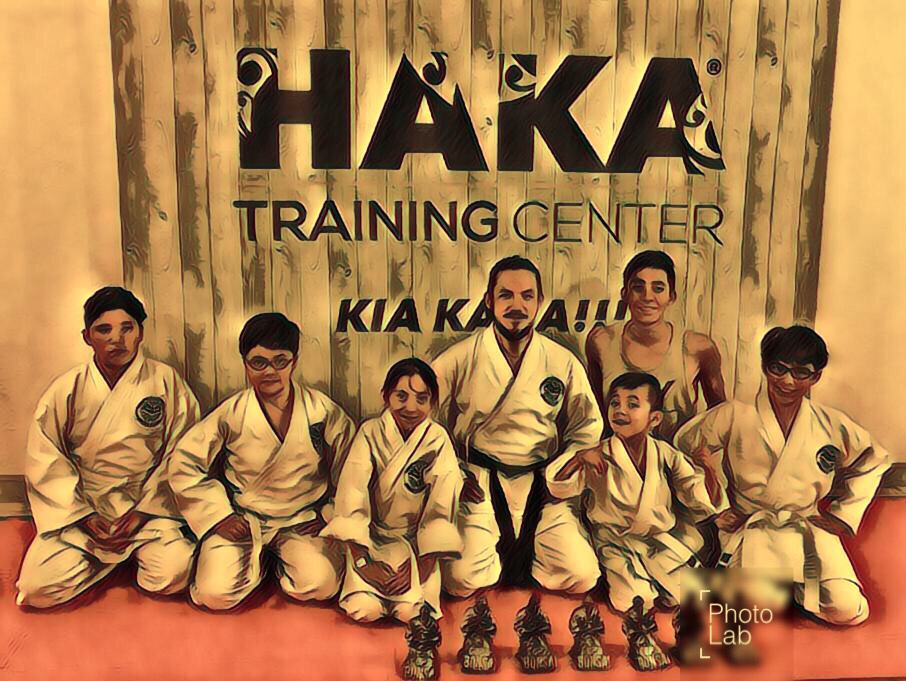 Main image of Haka Martial Arts