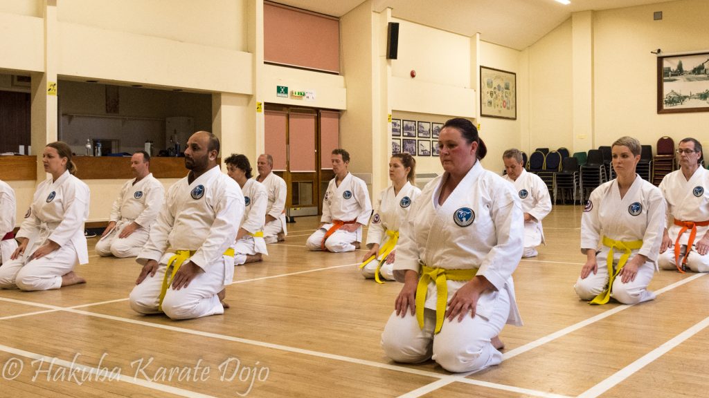 Main image of Hakuba Wadoryu Karate