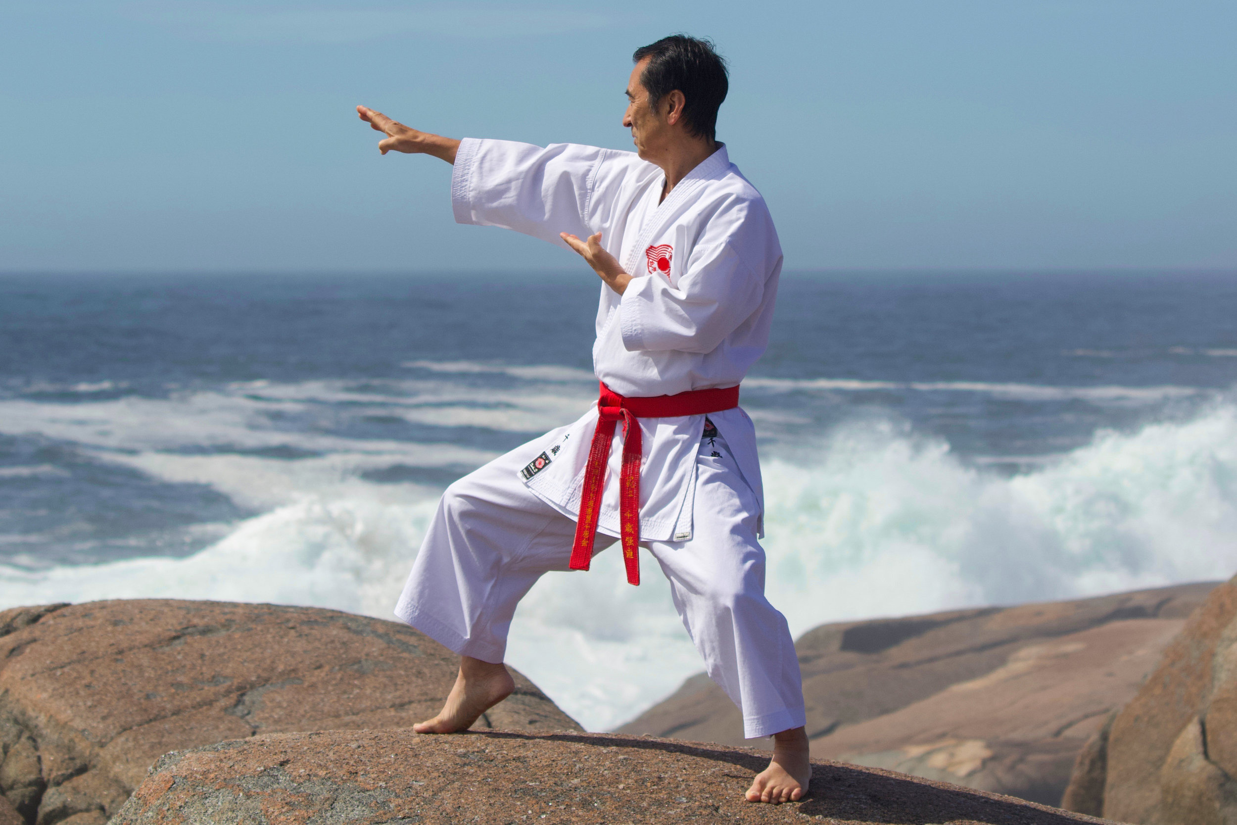 Main image of Halifax Ryuseikan Karate