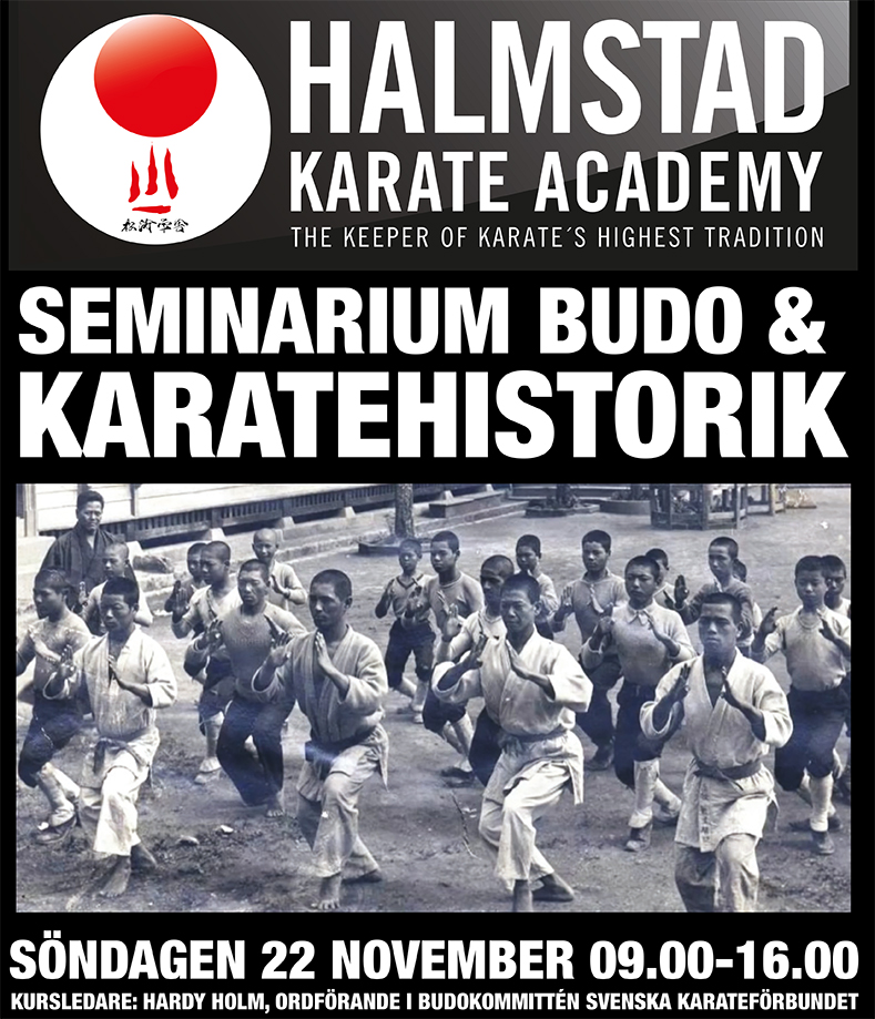 Main image of Halmstad Karate Academy