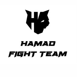 Main image of Hamad Fight Team