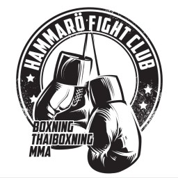 Main image of Hammarö Fight Club