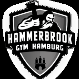 Main image of Hammerbrook Gym / Ivory MMA