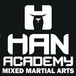 Main image of Han Academy
